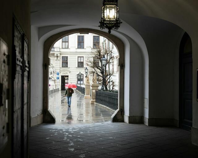 Einen Regenschirm brauchen alle Wienerinnen und Wiener kurz vor dem Wochenende. | Foto: Carrie Borden/Unsplash