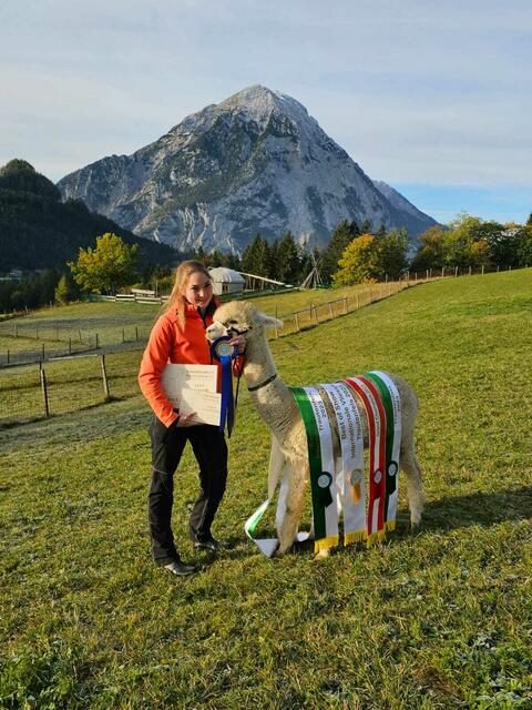 Thomas Pötsch und sein Team haben sich auf die Zucht spezialisiert und nehmen aktiv an Ausstellungen und Prämierungen teil, um die Qualität ihrer Tiere zu demonstrieren und zu fördern. | Foto: Pötsch/Alapakaland Österreich
