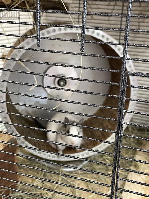 Foto: Kriechbaum/RMW