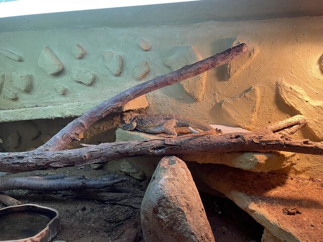 Foto: Kriechbaum/RMW