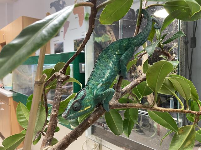 Foto: Kriechbaum/RMW