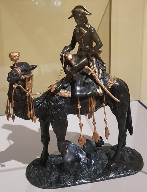 Napoleon und sein Dromedar