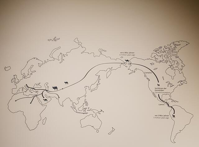 Urheimat Nordamerika