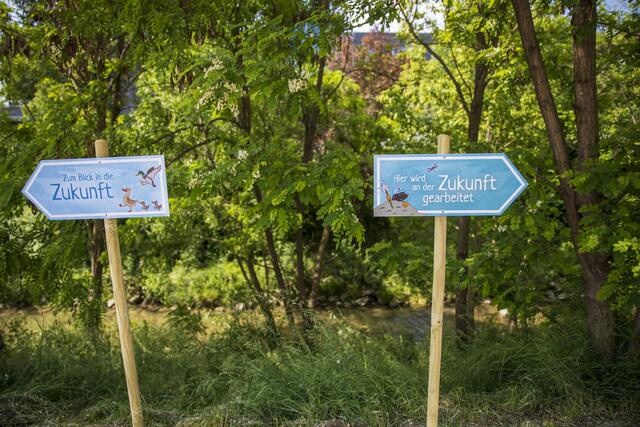 Foto: BV23/Genitheim