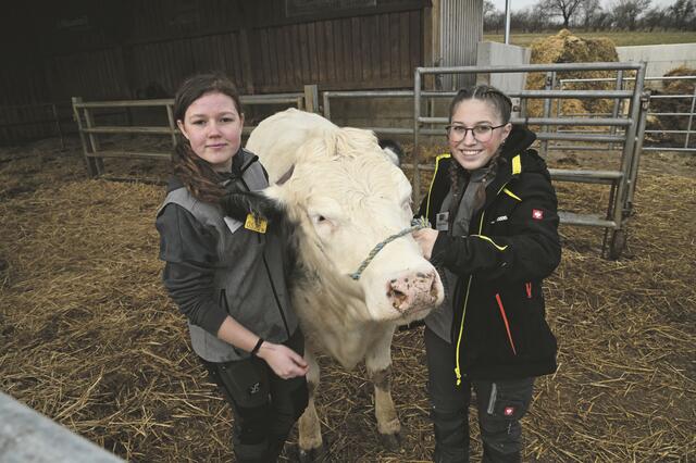 Am Tag der offenen Tür in der LFS Hollabrunn wurden die Gäste von Mensch und Tier begrüßt, am Foto die Schülerinnen Leonie Führer und Kristina Margritzer mit der Kalbin Mariposa. | Foto: Lukas Bull