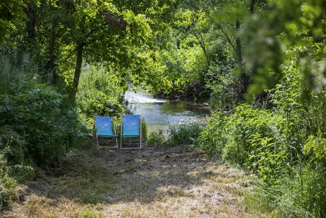 So soll der Liesingbach nach der Renaturierung wieder aussehen.  | Foto: BV23/Genitheim