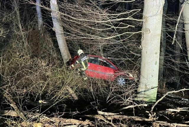 Das Fahrzeug rutschte rund 20 Meter die Böschung hinab. | Foto: FF Klosterneuburg
