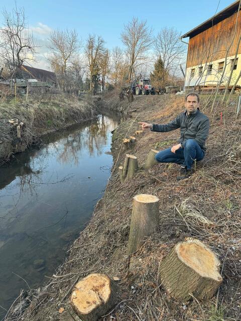 Landtagsabgeordneter Wolfgang Spitzmüller (Grüne) ist über die Kahlschlägerungen entlang des Seraubaches in Unterschützen entsetzt. 