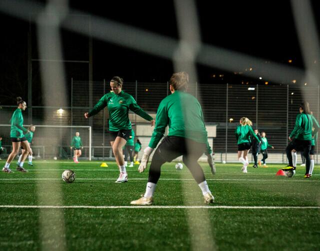 Die Rapid-Frauen kicken ihr erstes Heimspiel im Allianz Stadion. Kostenlose Tickets sind ab sofort wieder verfügbar, Interessierte sollten aber schnell sein.   | Foto: Rapid