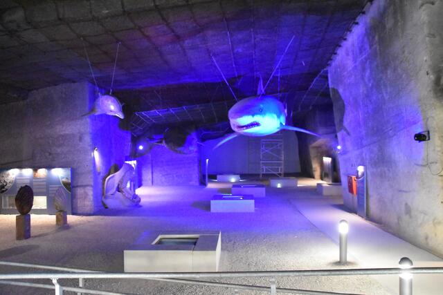 Das Museum mitten im Stein: Ein Rückblick zur 12 Millionen alten Weltgeschichte.  | Foto: RMA Podiwinsky