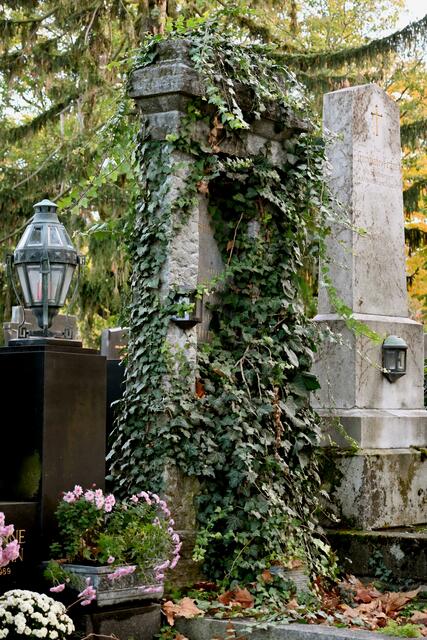 Foto: Zuzana Kobesova 2024