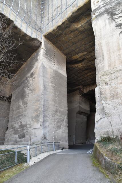 Foto: RMA Podiwinsky