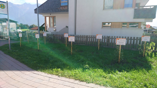 Bei den Schaumeilen bekommt man Informationen zu den unterschiedlichen heimischen Sträuchern. | Foto: Karadar