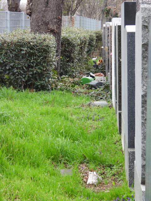 Was sich so alles hinter den Grabsteinen verbergen kann... viel Plastik und ein Turnschuh. | Foto: Zuzana Kobesova 2024