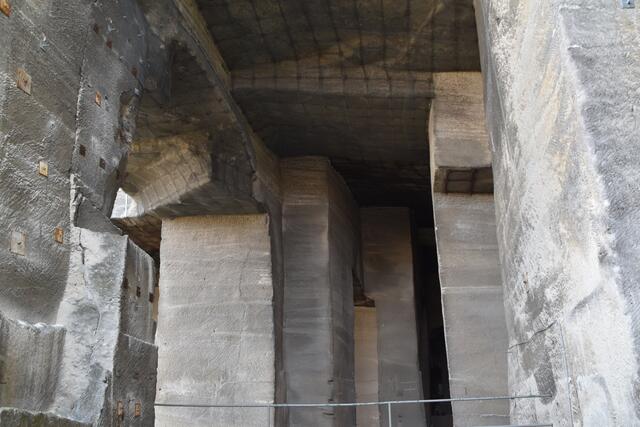 Foto: RMA Podiwinsky