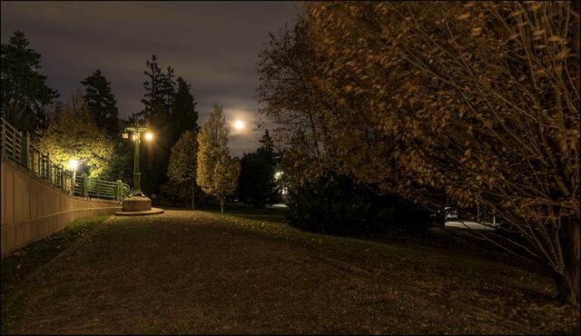 Gut beleuchtete Parks und Straßen helfen, sich sicher in der Öffentlichkeit zu fühlen.  | Foto: ©Sylvia S.,  Aus meiner Reihe "Wien bei Nacht"