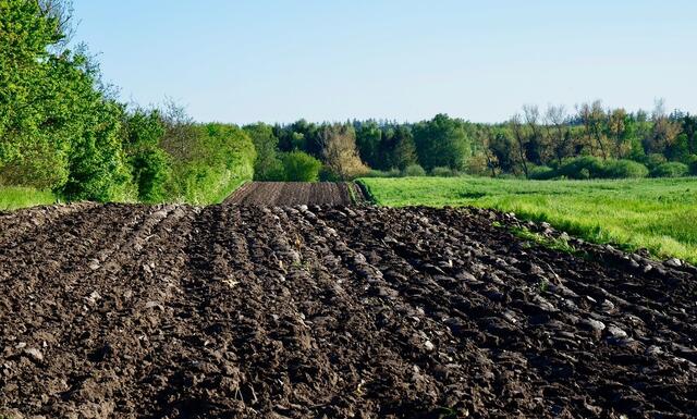 Keine PV-Anlagen auf Wiesen und Äckern, die für die Lebens- und Futtermittelproduktion dienen, fordert der Tiroler Bauernbund. | Foto: Pixabay