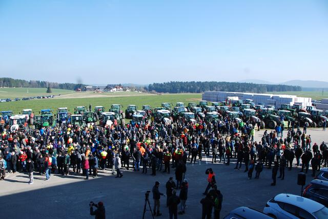 Foto: Steiner-Watzinger