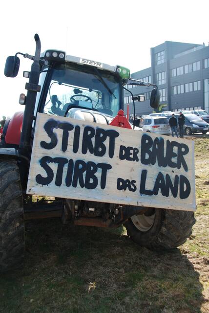 Foto: Steiner-Watzinger