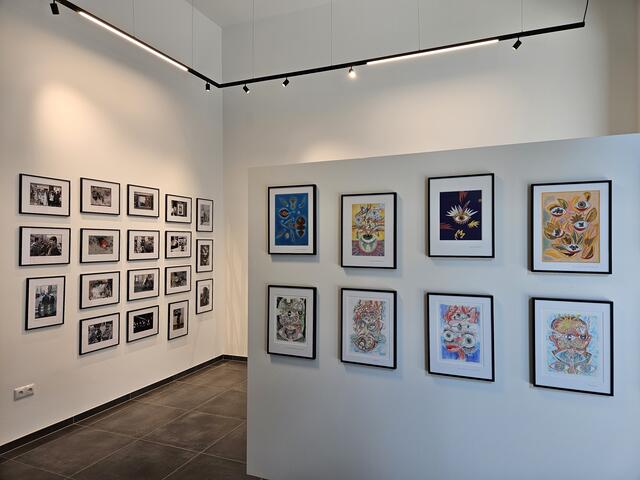 Die Werke der drei Künstlerinnen und Künstler umfassen Fotografien, Zeichnungen und Collagen. | Foto: BRS/Püringer