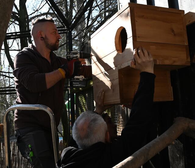 Julian, Harald und Marc bei der Montage des Nistkastens.