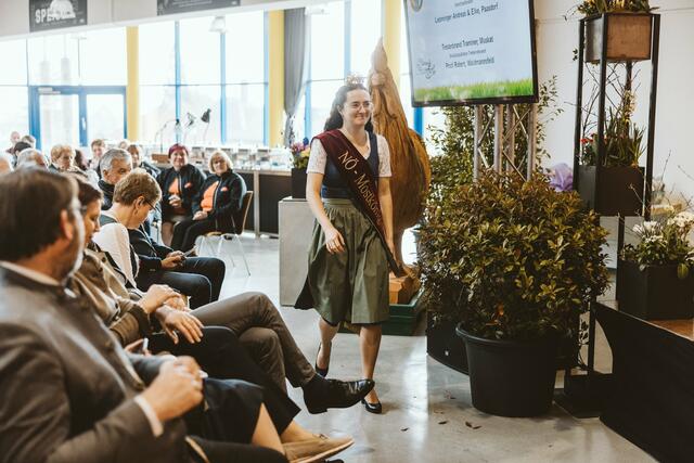 Foto: Michael Schafranek