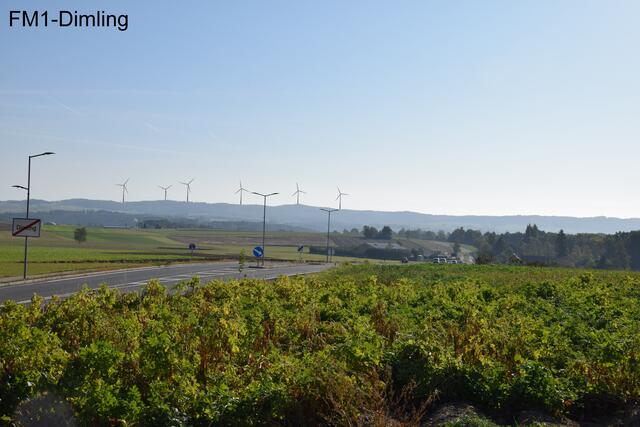 Projektvisualisierung: Blick von Dimling auf den Predigtstuhl, wo fünf Windräder errichtet werden sollen. | Foto: W.E.B