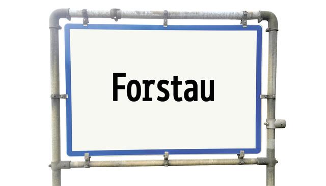 In 14 Tagen kommt es in Forstau zur Stichwahl. | Foto: RegionalMedien Salzburg
