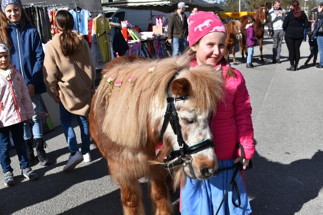 Der Pferdemarkt in Riedau ist ein Highlight für Groß und Klein.  | Foto: Marktgemeinde Riedau