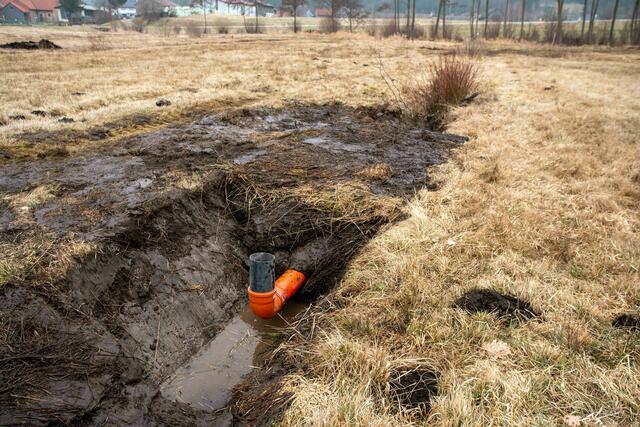 In einem Niedermoor in St. Martin im Waldviertel ließ der Verein in Entwässerungsgräben Lehmschläge mit Polokalrohren einbauen. Die Rohre sind das ganze Jahr über verschlossen und werden erst kurz vor der Mahd geöffnet. Damit ist die Wiese vor der Mahd trocken genug, um sie befahren zu können. | Foto: Axel Schmidt