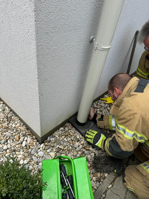 Eine tierische Rettung wurde durchgeführt. | Foto: FF Pressbaum