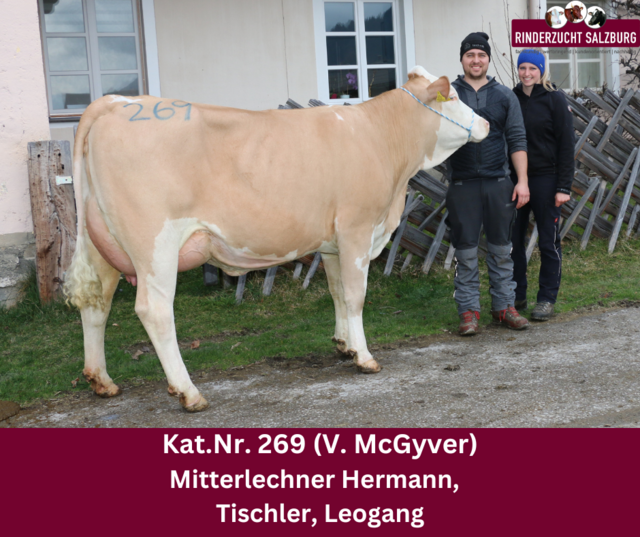 Die Kuh von Hermann Mitterlechner erzielte bei der vergangenen Versteigerung in Maishofen den Tageshöchstpreis. | Foto: Rinderzuchtverband Salzburg