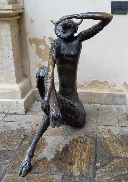 Faun mit Weitblick | Foto: H.Bachinger 