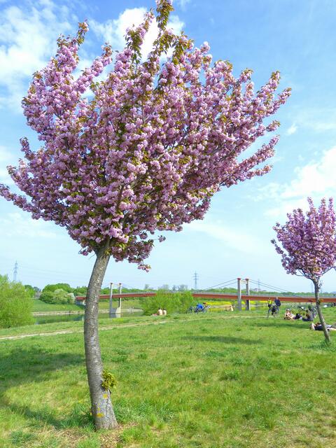 Foto: Christa Posch