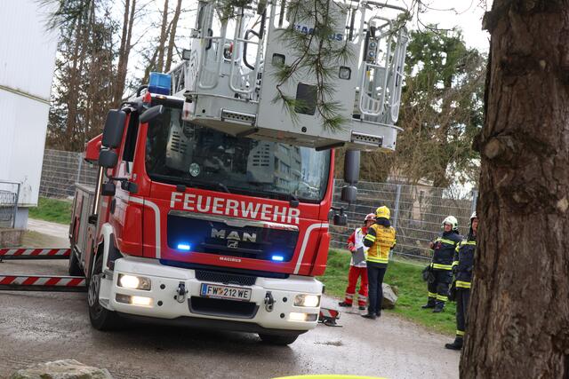 Brand im 11. Stock des Hochhauses in der Traunaustraße in Wels: Die Einsatzkräfte konnten eine bewusstlose Frau retten. | Foto: laumat.at