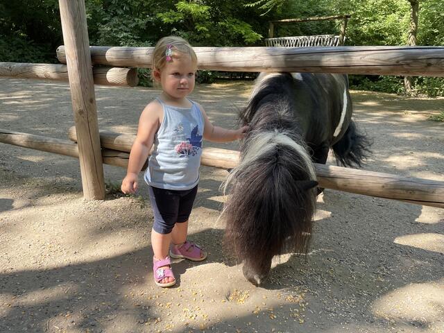 Spiel, Spaß und viele Tiere warten im Steppentierpark Pamhagen. | Foto: RegionalMedien Burgenland