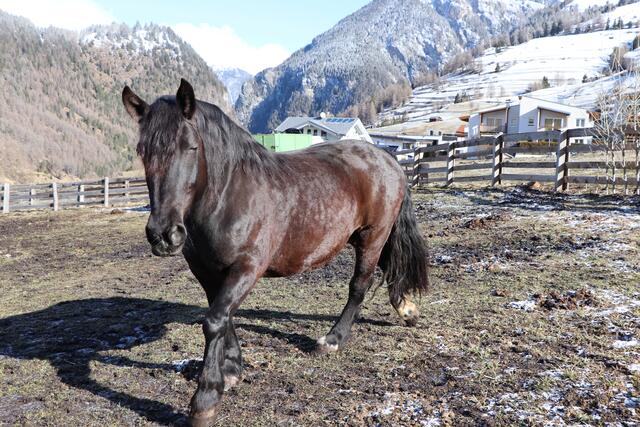 Foto: Celina Leitner