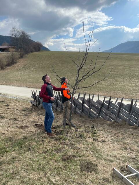 Das erlernte Wissen wurde schließlich in der Praxis umgesetzt | Foto: LFS Tamsweg