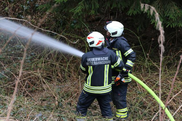Foto: Florian Stierschneider