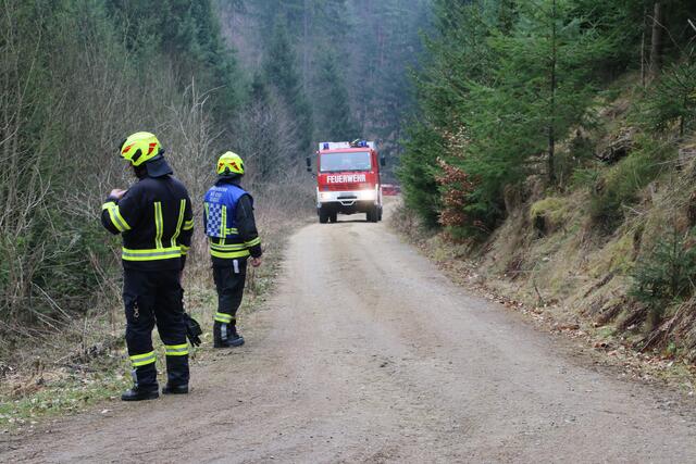 Foto: Florian Stierschneider