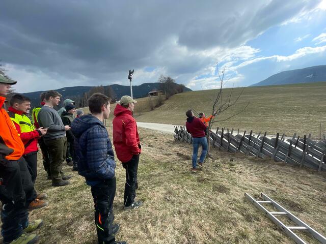 Das erlernte Wissen wurde schließlich in der Praxis umgesetzt | Foto: LFS Tamsweg