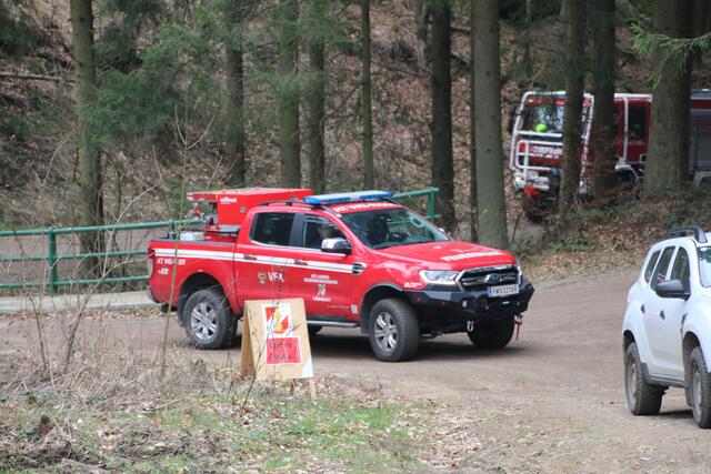 Foto: Florian Stierschneider
