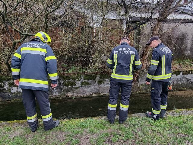 Öl gelangte in Berndorf  in den Veitsauerbach. | Foto: BFKDO BADEN / Stefan Schneider