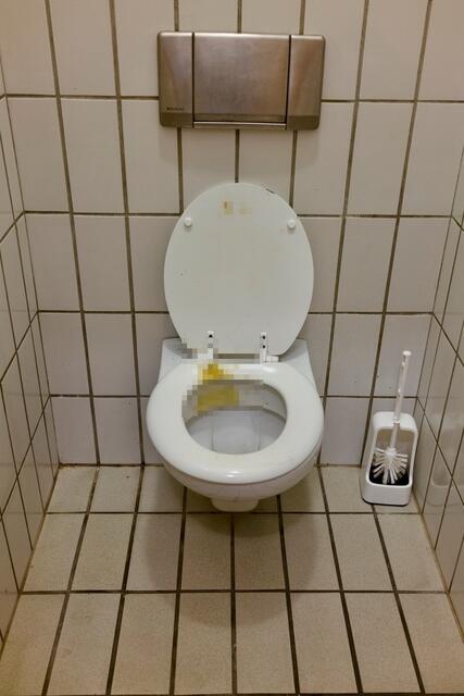 Die verunreinigte Toilette (der Dreck wurde aus Rücksicht auf den Magen gepixelt). | Foto: BezirksBlätter