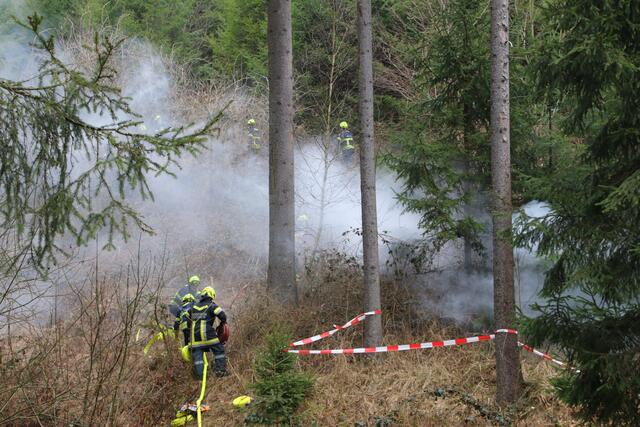 Foto: Florian Stierschneider