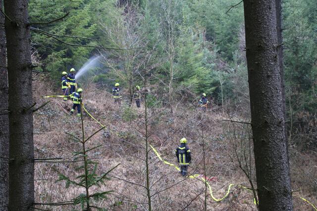 Foto: Florian Stierschneider