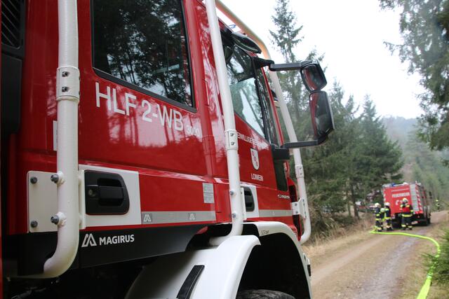Foto: Florian Stierschneider