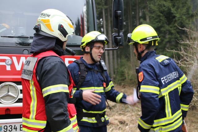 In der Zusammensetzung von örtlichen Kräften, Sonderdienst Waldbrand, Katastrophenhilfsdienst, Bezirksführungsstab und Österreichischen Bundesforste, wurde ein Szenario einen Nachmittag lang erfolgreich geübt. | Foto: Florian Stierschneider