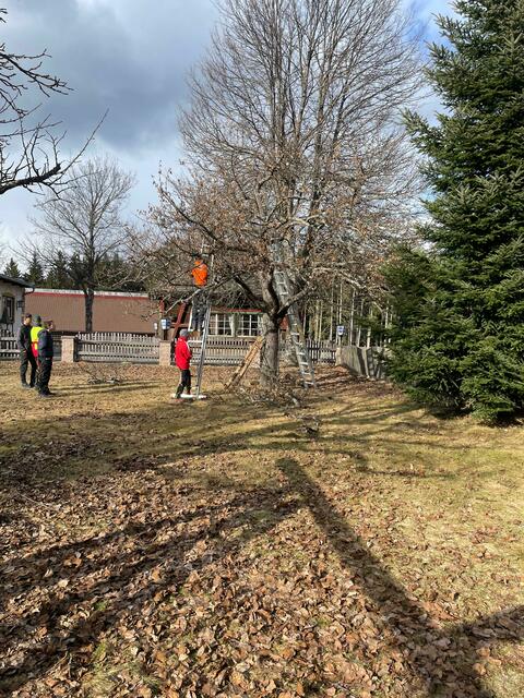 Das erlernte Wissen wurde schließlich in der Praxis umgesetzt | Foto: LFS Tamsweg