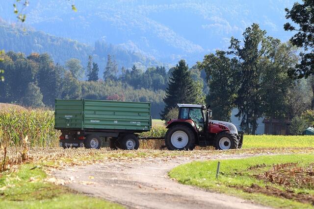 Das Diebesgut war unter anderem ein Steyr Traktor mit Anhänger (Symbolbild). | Foto: pixabay